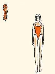 type de figure rectangulaire